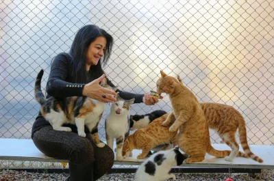 Houston Pet Set
